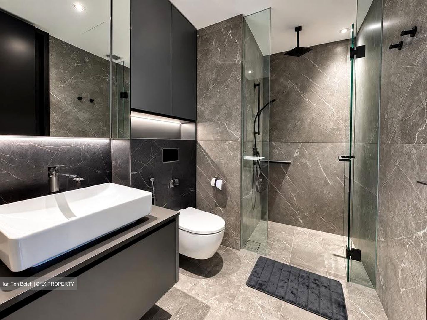 Irwell Hill Residences (D9), Apartment #626345721
